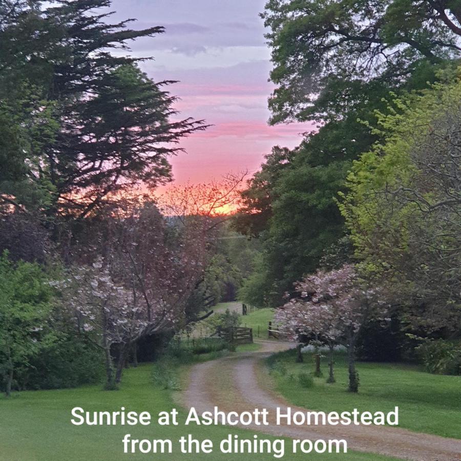 Ashcott Homestead Bed & Breakfast Takapau エクステリア 写真