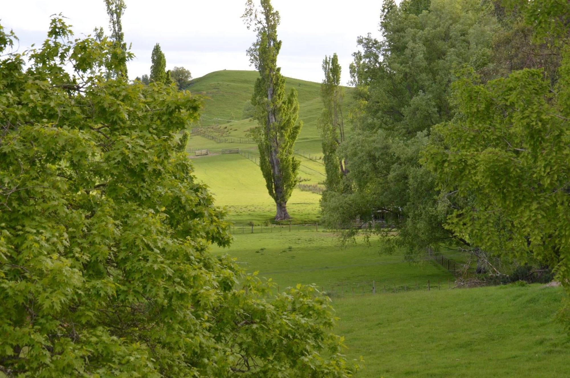 Ashcott Homestead Bed & Breakfast Takapau エクステリア 写真