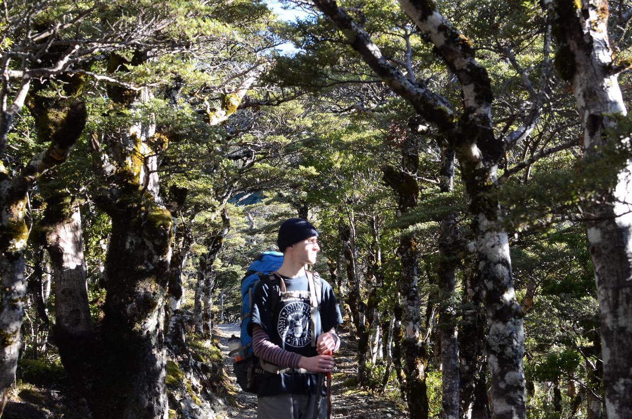 Ashcott Homestead Bed & Breakfast Takapau エクステリア 写真