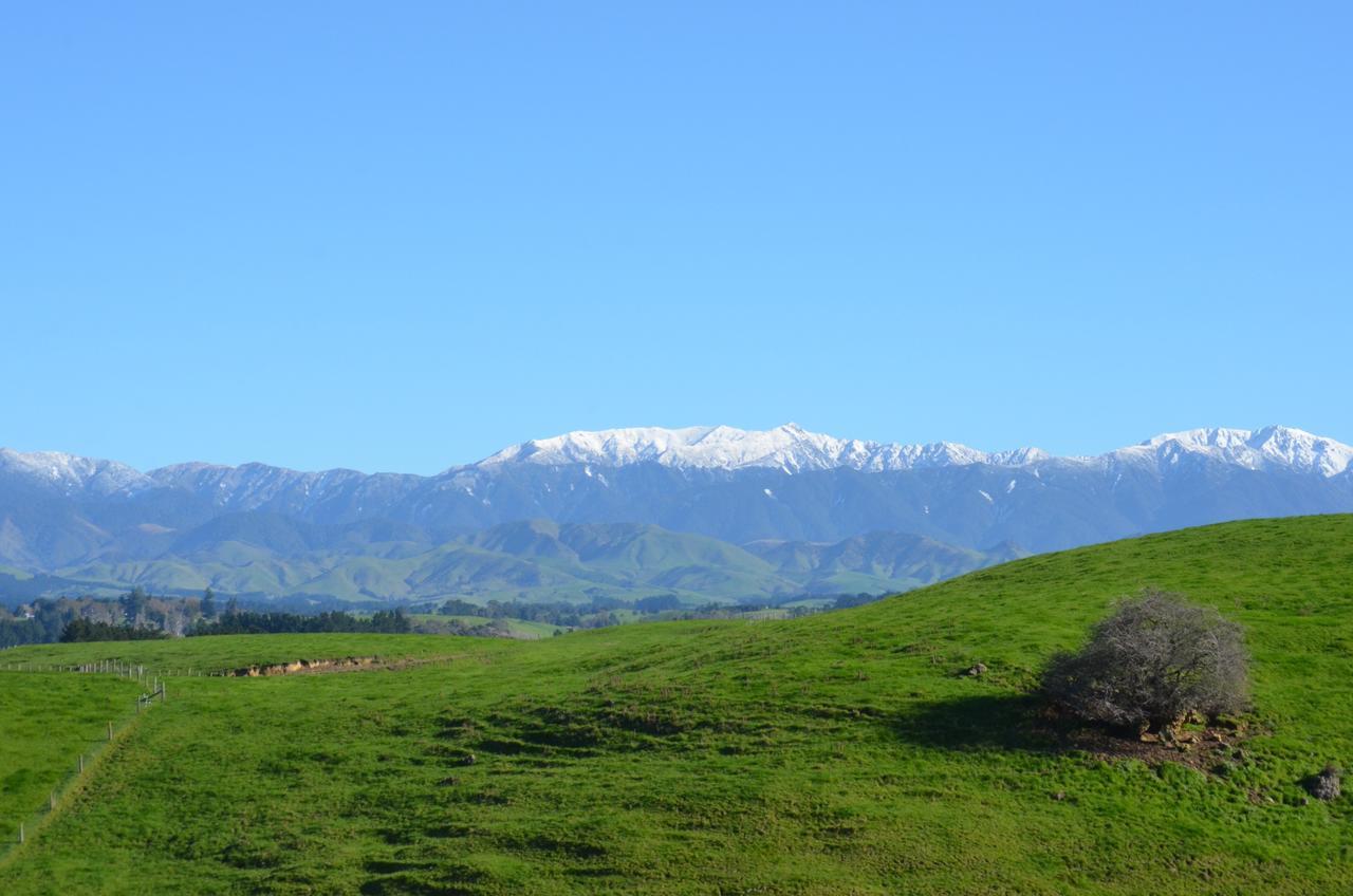Ashcott Homestead Bed & Breakfast Takapau エクステリア 写真